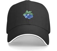 YGHAOWKJR Gorra de béisbol clásica The Blues Painting para niños, sombrero negro con cierre a presión, sombrero de lujo, elegante sombreros para mujer y hombre