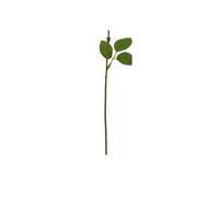 YGLEEULI Artificiales con Hojas Plantas 10 Uds. De Ramas de Flores, Tallos, Falsas, Rosas con Hojas, Alambre Floral, Decorar hortensias, Plantas, decoración DIY(Rose Leaf Stem 25cm)