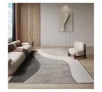 YGMNQAL Bedroom Decor Plush Carpet Light Carpets For Living Room Washable Lounge Floor Mat Fluffy Soft Cloakroom Rug(Color5,120x160cm(46x62in))