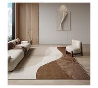 YGMNQAL Bedroom Decor Plush Carpet Light Carpets For Living Room Washable Lounge Floor Mat Fluffy Soft Cloakroom Rug(Color2,80x160cm(31x62in))