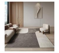 YGMNQAL Bedroom Decor Plush Carpet Light Carpets For Living Room Washable Lounge Floor Mat Fluffy Soft Cloakroom Rug(Color6,80x160cm(31x62in))