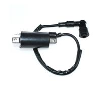YGPWANGL Bobina de Encendido Compatible con TC125, TC185, TC250, TC305, TC350, TS50, TS75, TS90, TS100, TS125, TS185, TS200R, TS250, TS400 (33410-22220)