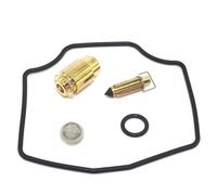 YHBH Kit De Reparación Y Reconstrucción De Carburador para Y&amaha SZR660, TT600E, TT600S, XTZ660H, TENERE, TT600, XTZ660, SZR 600, Flotador.(Color 6)
