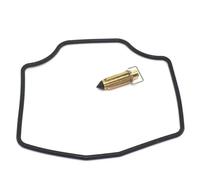 YHBH Kit De Reparación Y Reconstrucción De Carburador para Y&amaha SZR660, TT600E, TT600S, XTZ660H, TENERE, TT600, XTZ660, SZR 600, Flotador.(Color 4)