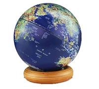 YHEIANJ Globo terráqueo con iluminación práctica, Globo terráqueo Giratorio Tridimensional 3D con Base de Madera para Estudiantes Adultos, Globos geográficos HD, herram，Style B 20cm