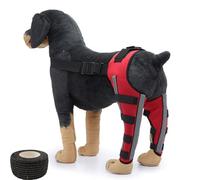 YHNNH Soporte ajustable para patas de perro, estabilizador de rodilla ligero para articulaciones y músculos, transpirable, ajuste seguro para perros pequeños a grandes (rojo Pro)