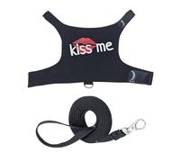 Yhsioaklo Correas para Dragón Barbudo - Luminoso Transpirable Ajustable Accesorios Mascotas | Arnés Y Correas para Lagartos - para Acampada Vida Urbana Viajes Nocturnos Transporte Diario Compras