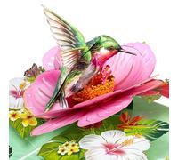 YianHien Tarjeta de cumpleaños 3D para mujer, colibrí, tarjeta de cumpleaños, flores, colibrí, regalo de cumpleaños para mujeres, para agradecer, aniversario, día del maestro, jubilación, buena