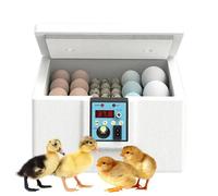 Yianyal Incubadoras para Huevos En Eclosion | Equipo para Codornices con Luz De Observacion,Incubadora con Control De Temperatura para Crianza Domestica De Gallinas Y Codornices