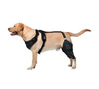 Yianyal Rodillera para Perro, férula para Perros, Pierna Trasera | Férula C justable para Cuidado Canino, Envoltura de Pierna Trasera para Perros, férula de Soporte CCL para Cuidado Canino