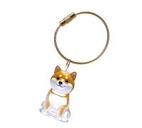 YIBOZI Caja de almacenamiento transparente para el pelo de cachorro, llavero conmemorativo transparente para mascotas, botella de pelo para conservar perros y cenizas, caja transparente