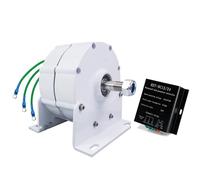 YIGECHENXIN Alternador Permanente trifásico Blanco de 5000W, Motor generador eléctrico de imán Permanente de 12V 24V 48V 220V, alternador de CA de Bricolaje, Motor de imán Permanente,12v
