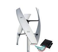 YIGECHENXIN Generador Eólico Vertical Magnético Sin Ruido de 12000W 3 Aspas 12V 24V 48V 220V Turbina Eólica de Eje Vertical para Jardín Exterior (Blanco, con Controlador de Carga),48v