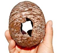 YIGZYCN Decoración de terrario con textura para reptiles, realzador de hábitat, dinosaurio con entrada irregular, bajo mantenimiento, decoración de terrario para acuario