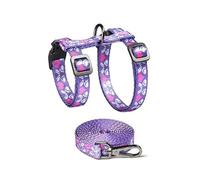 YIGZYCN Extreme Light Puss Adventure Set de guía de 1,5 m, suave amortiguación, niebla, blanco, leche, marrón, elegante adición modificable para mascotas, con cinta de conjuración