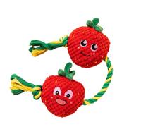 YIGZYCN Juguete de cuerda de algodón de felpa para perro con cuerda chirriante temática de frutas para jugar a tirar, interactivo, divertido, seguro, compromiso, perro chirriante
