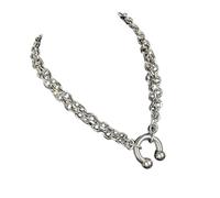 YIGZYCN Llamativa cadena colgante versátil para dije de calle, varias ocasiones, acero inoxidable, joyería industrial, cadena con colgante de herradura, One Size, como se describe, como se describe