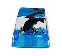 YIGZYCN Tecla de resina con efecto de retroiluminación para teclados mecánicos personalización en 4 opciones de color, teclas coloridas