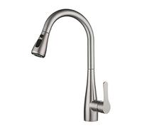 YIHANSS Grifos de Cocina con Spray sacado, maricón de Cocina Grifo de Acero Inoxidable giratriz de Cocina Retractable Grifo
