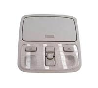 YIJIAVSX Para Hyundai Para Tucson 2004-2009 92820-2E000 Interruptor De La Luz Interior Del Techo Luz De Lectura (Gray ASSEMBLY)
