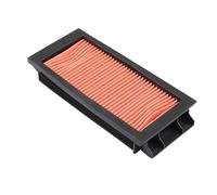 YIJIEBAO Filtro de aire y aceite for motocicleta y scooter de 150 cc, compatible con ZONTES ZT150D, ZT150M, 150D y 150M. Accesorios(1pcs Air filter)