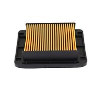 YIJIEBAO Limpiador de filtro de aire for motocicleta compatible con YAMAHA MT 03 MT-03 MT03 YZF R3 R25 YZF-R3 ABS YZF-R25 TMAX530 TMAX500 T-MAX XP530 XP500 Accesorios