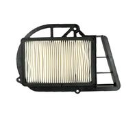 YIJIEBAO Limpiador de filtro de aire for motocicleta compatible con Yamaha YP250 Majesty VP250 X-City RA X-Max ABS VP300 Versity 5GM-15407-00 YP VP 250 350 Accesorios