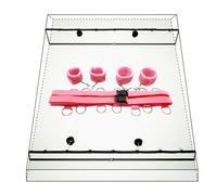 Yilemeiyile Animales Pareja Placer Pack Juegôs Ofertas Šêx toystore women Erótītīcī Šêsso per Coppia Bǒǹdâgê Kît pareja ȅsposas Šêxuales de parejas àdultos Set GbSl5l