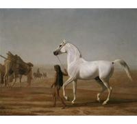YIMACBJXX Famoso Cuadro en Lienzo Artistica Imagen Lienzo il Wellesley Grey Arabian Led Through the Desert di Jacques Laurent Agasse para Decoración de Paredes 60x90cm