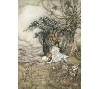 YIMACBJXX Pinturas Famosas Cuadro en Lienzo Artistica Imagen Lienzo il Mutaforma di Arthur Rackham para Decoración de Paredes 60x90cm