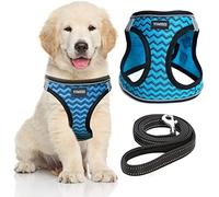 YIMEIS Juego de arnés y correa para mascotas, antitirones, de malla, suave, chaleco, reflectante, ajustable, para perros de todos los tamaños, cachorros y gatos, M, azul