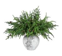 Yinder Ramas Artificiales de Pino de Norfolk con piñas, para decoración navideña del hogar en Interiores y Exteriores, 10 Unidades