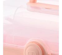 Yinhing Caja para el Hogar, Clasificación de Plástico, Almacenamiento de Emergencia Multicapa, Organizador Seguro Portátil para Viajes Familiares, Hogar, (Rosa 1300ml)