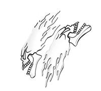 Yinhing Calcomanías de Motocross 21 Calcomanías de Llamas para Mot Etiqueta Engomada de de Calavera de Llama 3D 2PCS Calcomanía de Gas de Motocicleta Diseño de Calavera de Llama 3D Personalizado