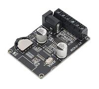 Yinhing Placa Amplificadora de Potencia 5.0 XYP40W Módulo Amplificador Digital de Canal de 40W con Volumen y Protecciones para Sistemas Domésticos y de Automóvil