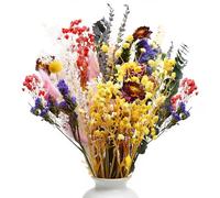 Yiomxhi 32 Piezas Ramo Flores Secas Naturales Decoracion, Eucalipto Lavanda Gypsophila Preservadas Arreglos Florales para Rústico Boho Mesa Boda Decoraciones