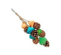YiQinzcxg Juguete para pájaros Birdcage Hanging Toy Natural Tinecone Loro Masticar Perca Jaula de Juguete Grieta Puzzle Ejercicio Juguetes para Cockatoos