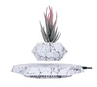 YISUIPU Macetas Colgantes flotantes para Plantas pequeñas. Eleva tu Nivel de Espacio con la Maceta Flotante, Impresionante decoración para el hogar y la Oficina (Blanco)