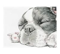 YISUMEI - Manta de forro polar suave, diseño de bulldog francés, 150 x 200 cm, adecuada para sofá o cama