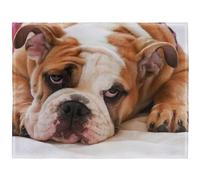 YISUMEI - Manta de forro polar suave, diseño de bulldog inglés, manta de 150 x 200 cm, adecuada para sofá o cama