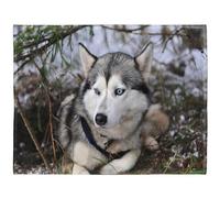 YISUMEI - Manta de forro polar suave - Husky siberiano, manta de 125 x 200 cm, apta para sofá o cama