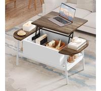 YITAHOME Mesa de centro con placa elevadora, mesa de salón, altura ajustable con compartimento oculto, mesa auxiliar elíptica con espacio de almacenamiento para oficina en casa, sofá o salón, 100 x 50