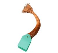 YIUPEDRFG Etiquetas impermeables para plantas con cordón. Etiquetas de PVC en Para blanco para etiquetar plantas. Ligeras y prácticas. con cordón para y arbustos, Verde, 3.5 x 2.5 cm