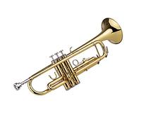 YIWENG Trompeta Bb B Flat Latón exquisito con Guantes Boquilla,Trompeta