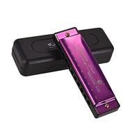 YIWEOG Llave de C Diatonic Harmonica Mouthorgan with ABS Reeds Espejo Diseño de la Superficie 10 Hoyos Blues Harmonica Principiantes Estudiantes Profesionales Kid Purple