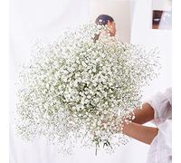 YIWOYI Ramo de flores secas naturales Gypsophila Paniculata preservadas para decoración del hogar y fiestas de boda (blanco, 30-40 cm, 30 g)
