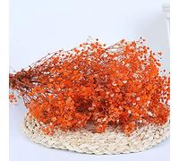 YIWOYI Ramo de flores secas naturales Gypsophila Paniculata preservadas para decoración del hogar y fiestas de boda (naranja, 40-55 cm, 80 g)