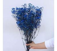 YIWOYI Ramo de flores secas naturales Gypsophila Paniculata preservadas para decoración del hogar y fiestas de boda (azul cobalto, 15-30 cm, 20 g)