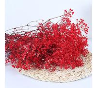 YIWOYI Ramo de flores secas naturales Gypsophila Paniculata preservadas para decoración del hogar y fiestas de boda (rojo, 15-30 cm, 20 g)