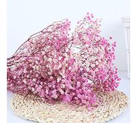 YIWOYI Ramo de flores secas naturales Gypsophila Paniculata preservadas para decoración del hogar y fiestas de boda (rosa y morado, 40-55 cm, 80 g)